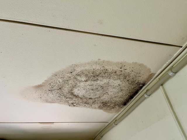 防水工事をしないとどうなる?10年に1度の実施が必要な理由 (3)